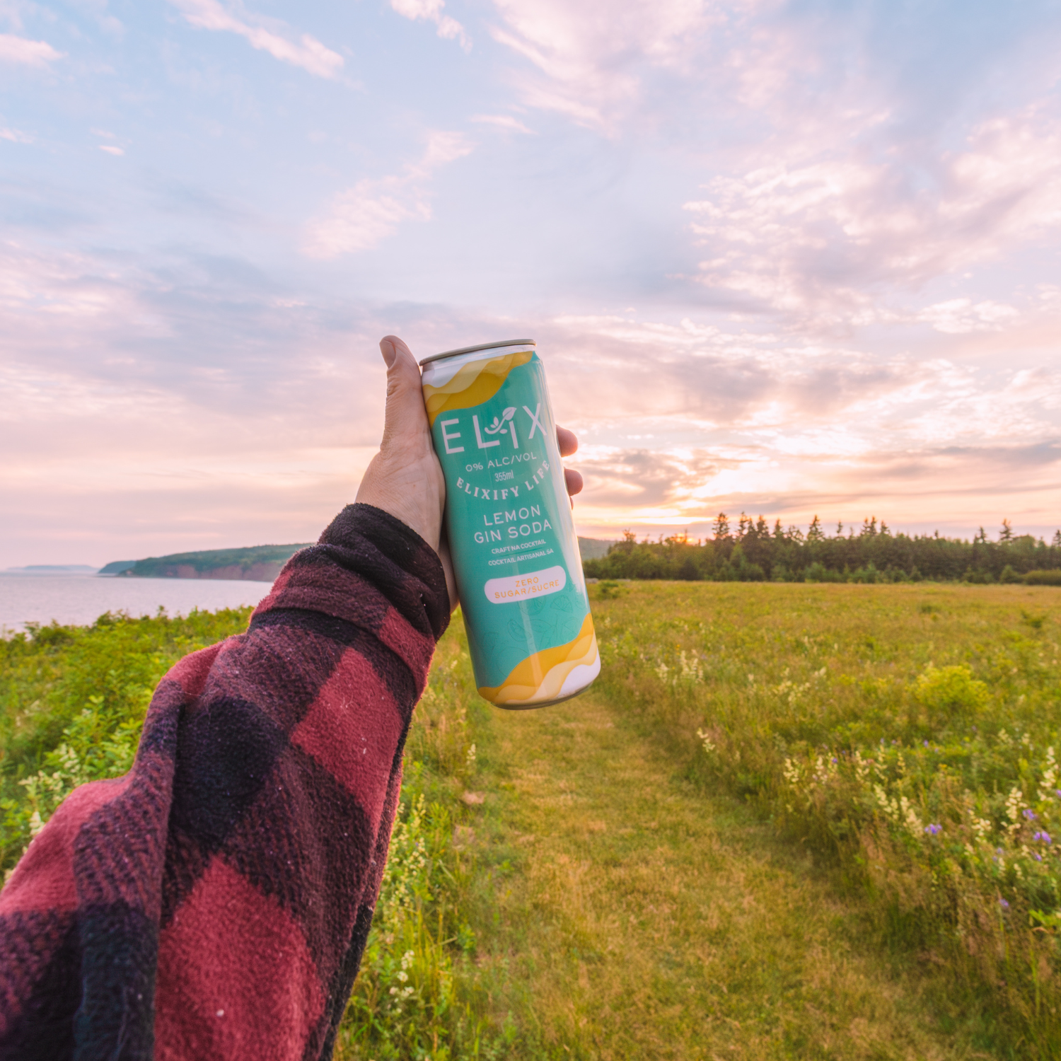 Elix Zero Sugar Lemon Gin Soda