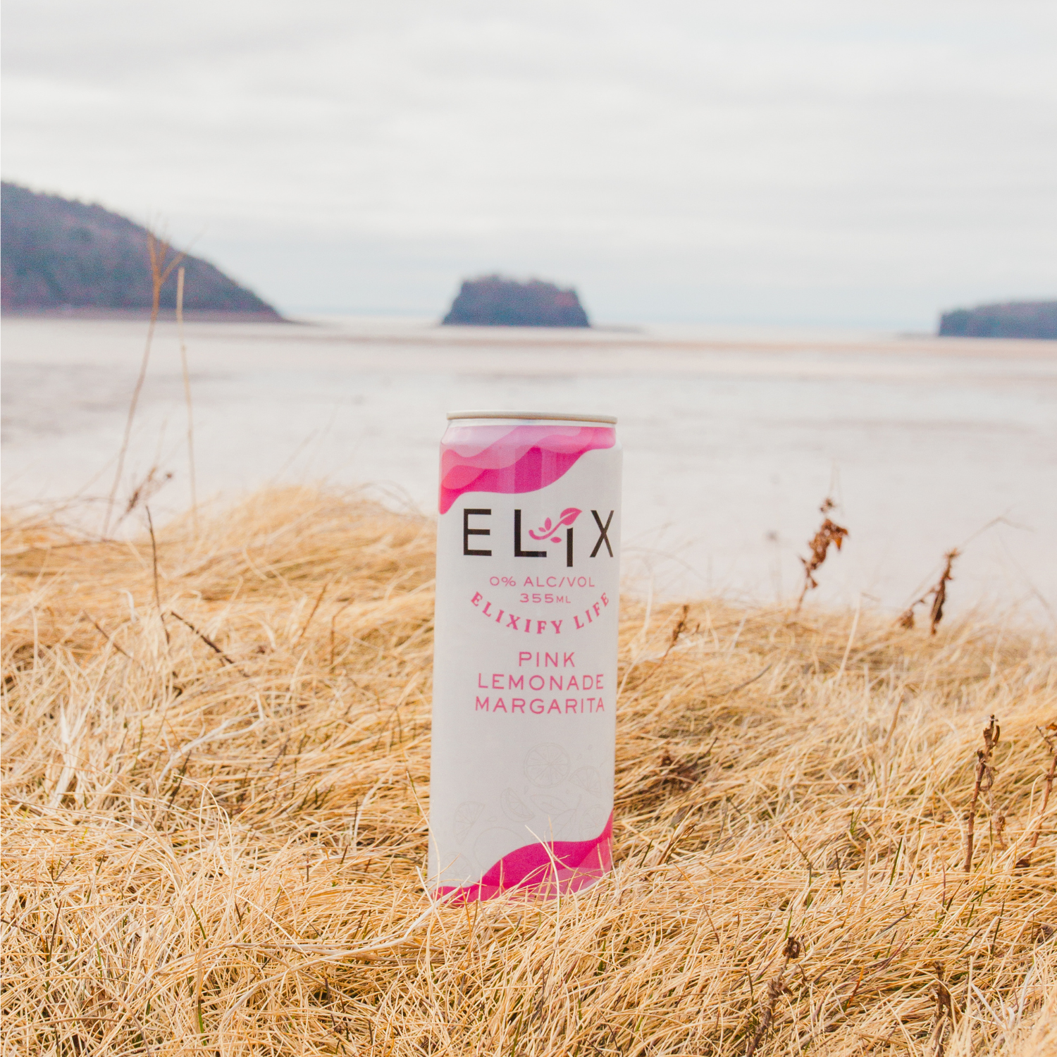 Elix Pink Lemonade Margarita