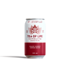 Tea of Life kombucha can on a white background
