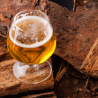 Festa Brew Mexican Cerveza