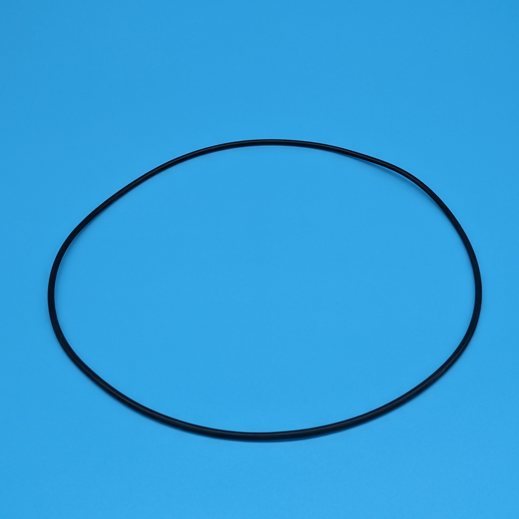 Filter O-ring