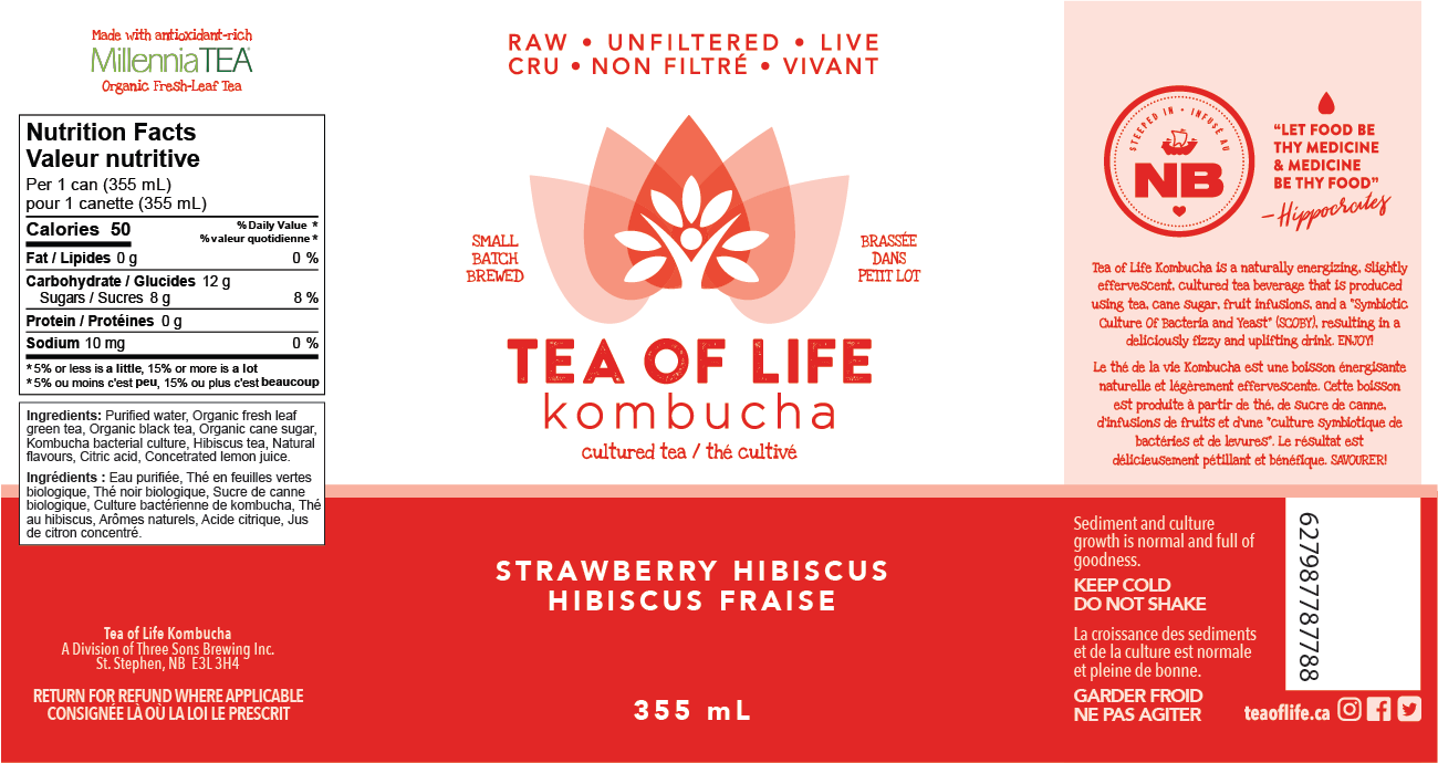 Tea of Life Strawberry Hibiscus Kombucha