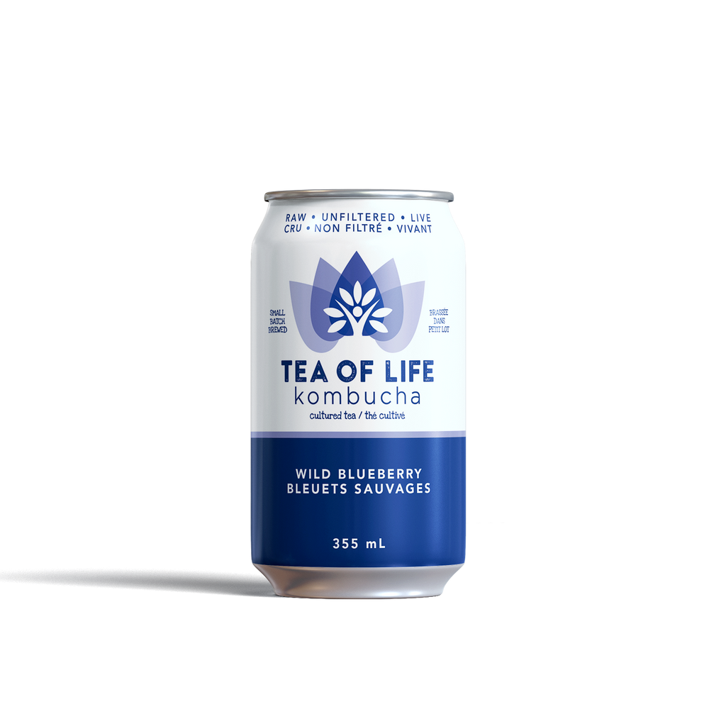 Tea of Life kombucha can on a white background
