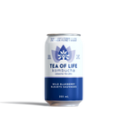 Tea of Life kombucha can on a white background