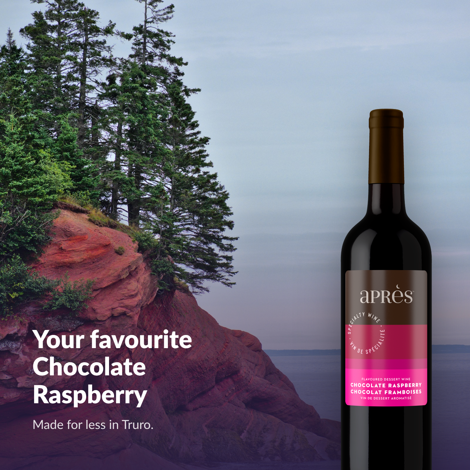 Apres Chocolate Raspberry Dessert Wine kit, lifestyle shot