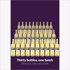 Cru International Muscat — thirty bottles, one batch