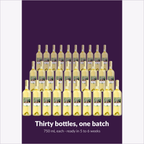 Cru International Ontario Pinot Grigio — thirty bottles, one batch