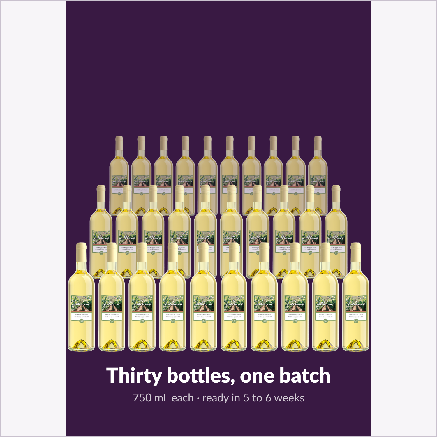 Cru International Ontario Pinot Grigio — thirty bottles, one batch