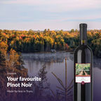 Cru International Pinot Noir — your favourite Pinot Noir, made for less in Truro