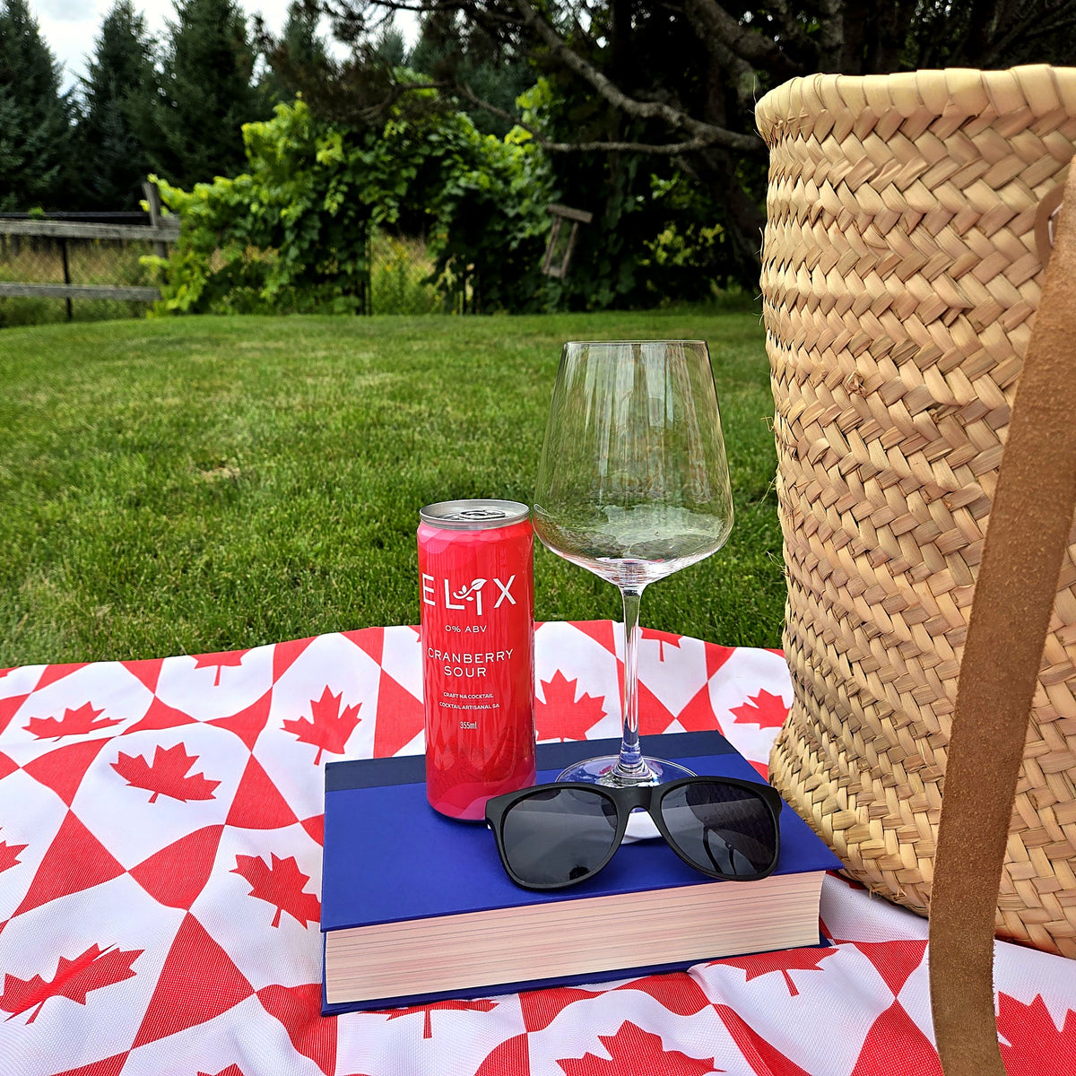 Elix Cranberry Sour at a backyard picnic