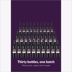 The batch: 30 bottles of Malbec produced by one En Primeur Winery Series kit
