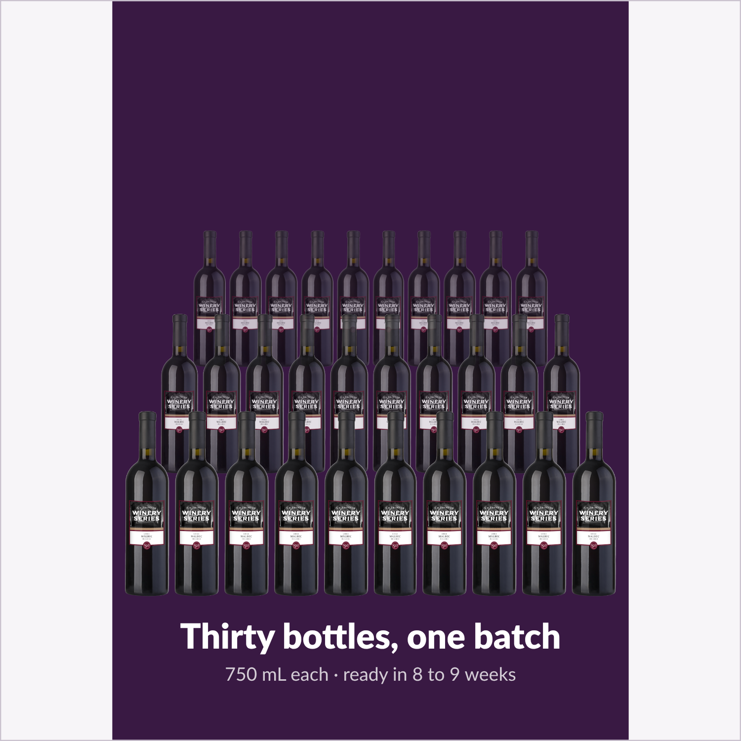 The batch: 30 bottles of Malbec produced by one En Primeur Winery Series kit