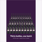 Thirty 750 mL bottles from one Merlot batch, ready in 8 to 9 weeks