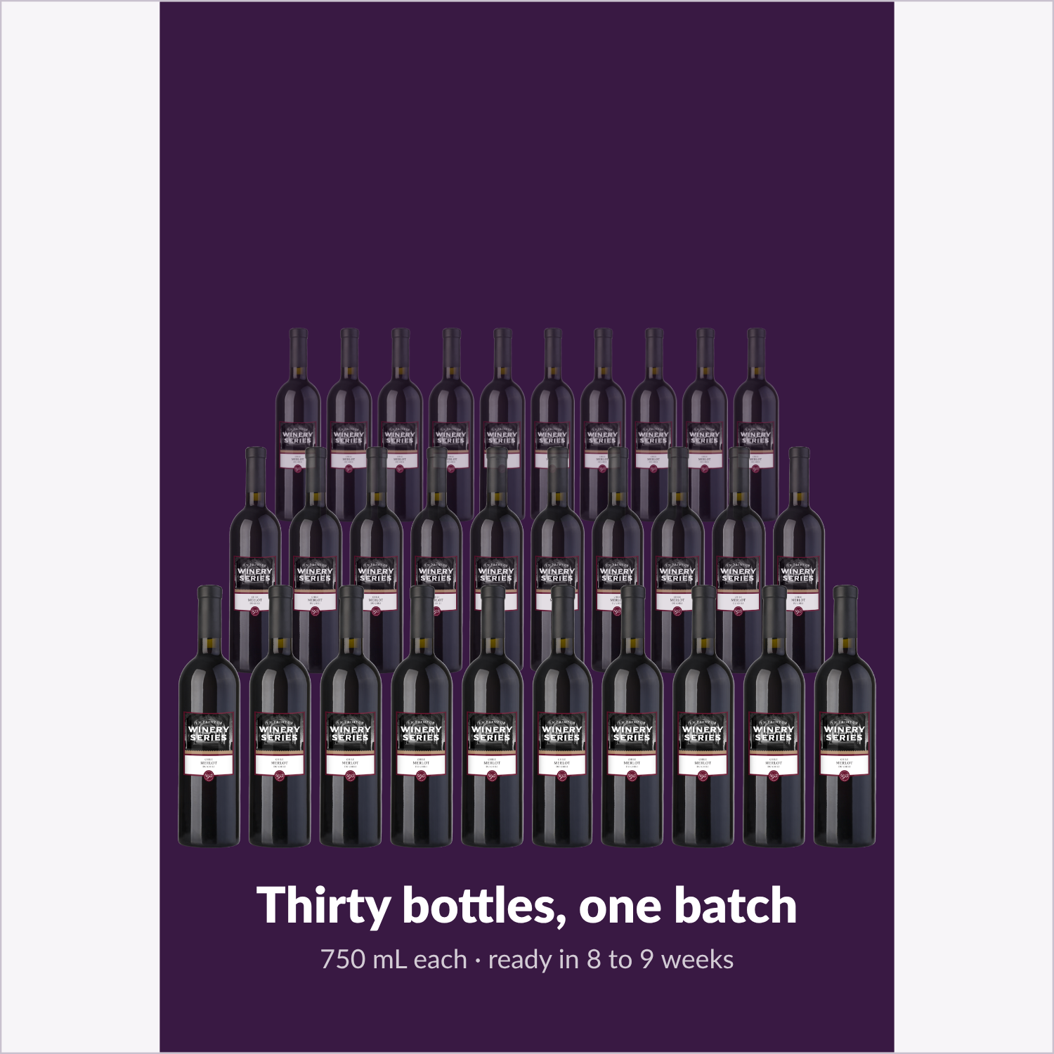 Thirty 750 mL bottles from one Merlot batch, ready in 8 to 9 weeks