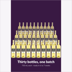 Thirty 750 mL bottles from one Pinot Grigio batch, ready in 6 to 7 weeks