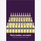 Thirty 750 mL bottles from one Sauvignon Blanc batch, ready in 6 to 7 weeks
