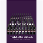 The full batch: 30 bottles of En Primeur Winery Series Shiraz produced by one kit