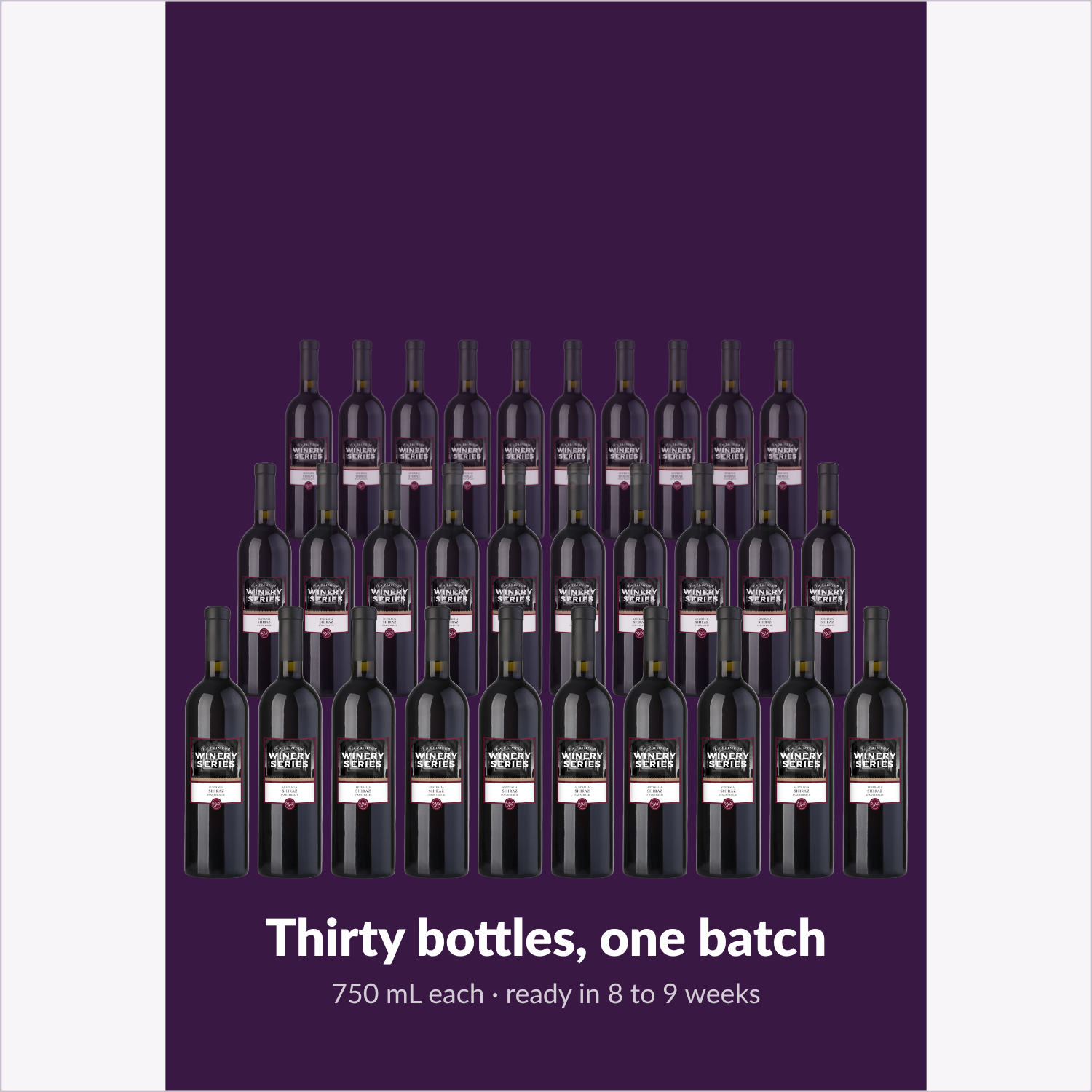 The full batch: 30 bottles of En Primeur Winery Series Shiraz produced by one kit