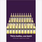 Thirty 750 mL bottles from one Winemaker's Trio White batch, ready in 6 to 7 weeks