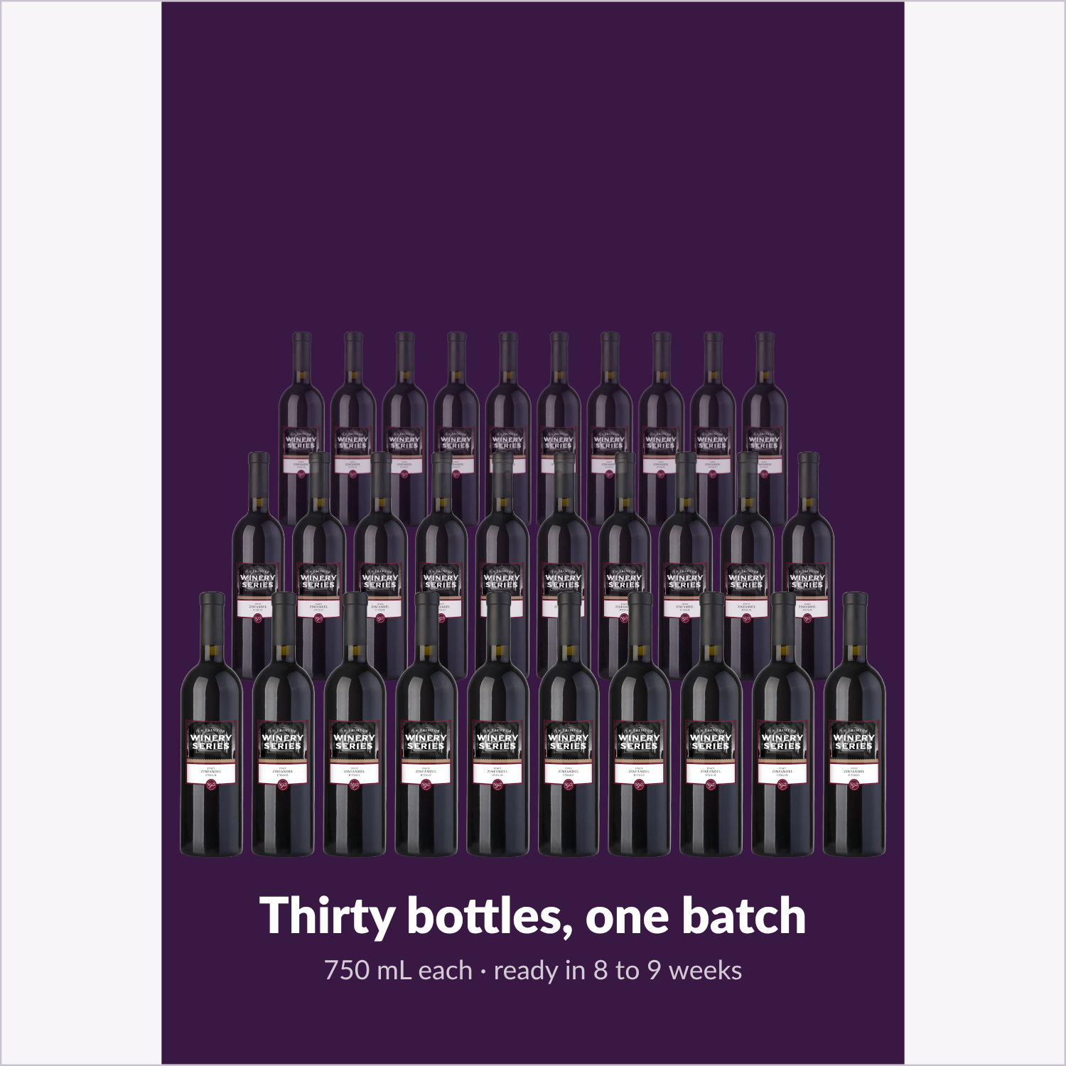 The full batch: 30 bottles of 750 mL En Primeur Winery Series Zinfandel from one kit