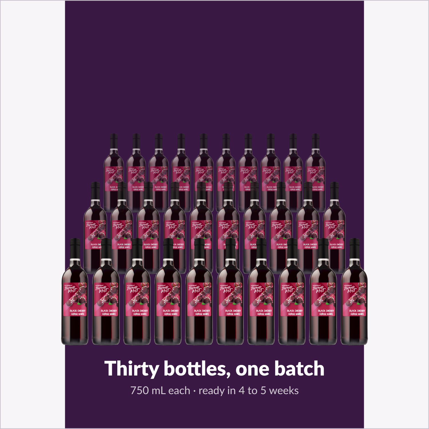 Thirty bottles, one batch — Island Mist Black Cherry