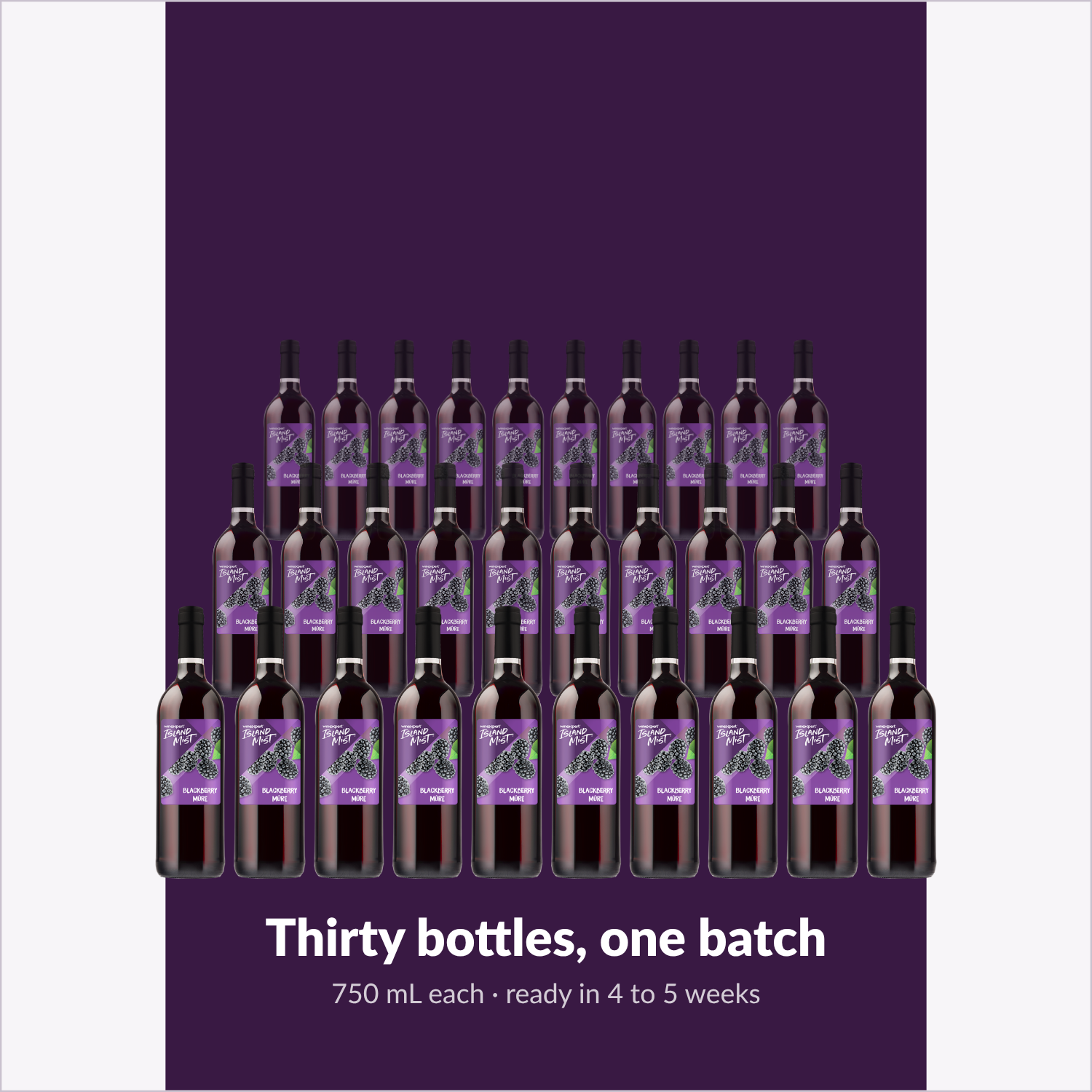 Thirty bottles, one batch — Island Mist Blackberry