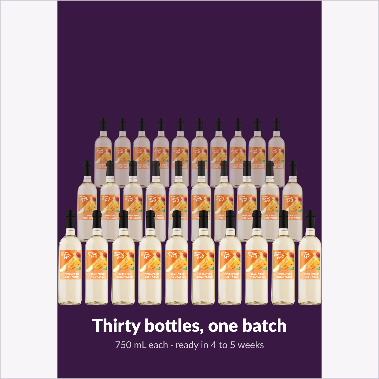 Thirty bottles, one batch — Island Mist Peach Apricot