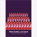 Thirty bottles, one batch — Island Mist Raspberry Dragon Fruit