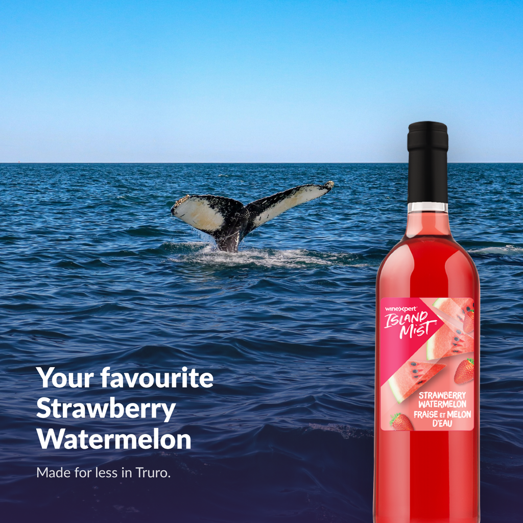 Island Mist Strawberry Watermelon bottle by the ocean
