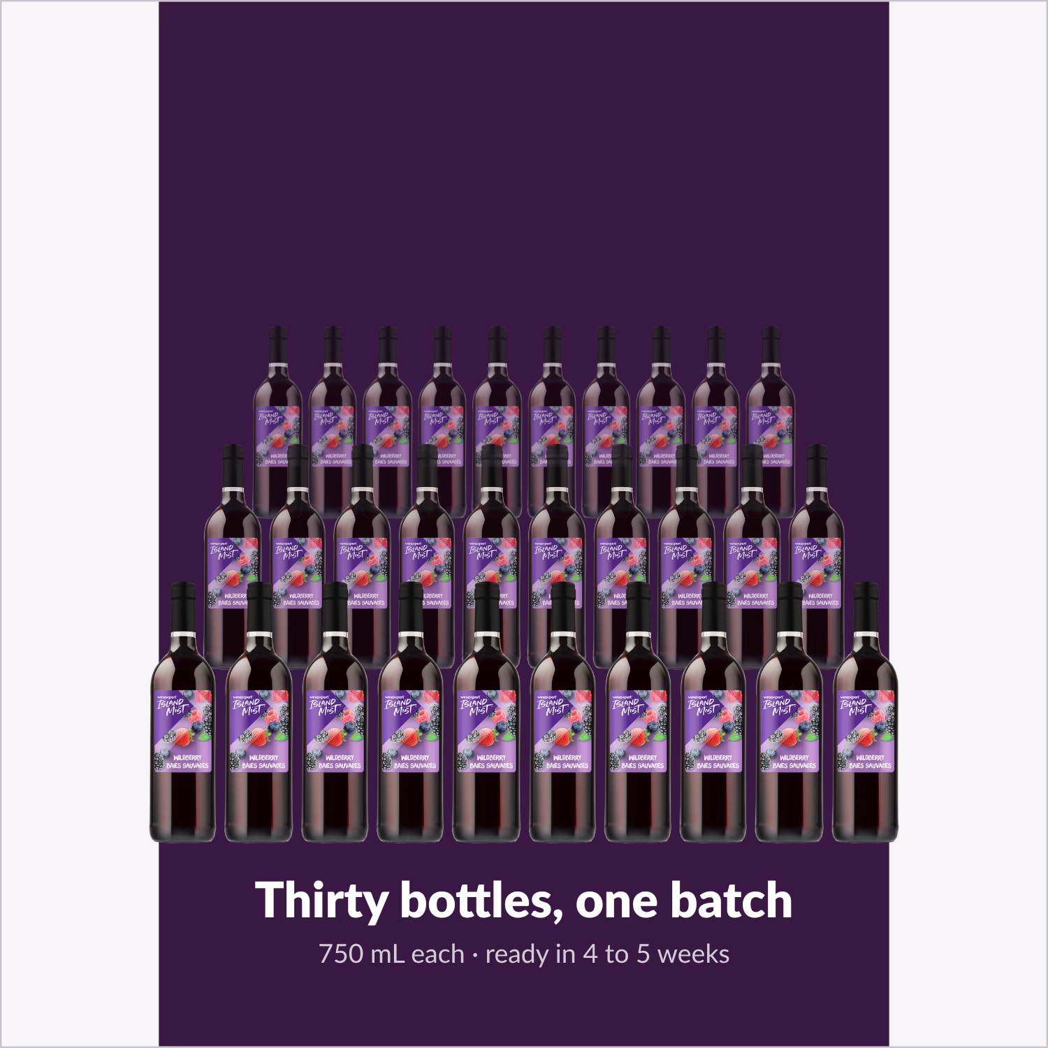 Thirty bottles, one batch — Island Mist Wildberry