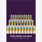 Thirty bottles, one batch — Niagara Mist Citrus Sangria