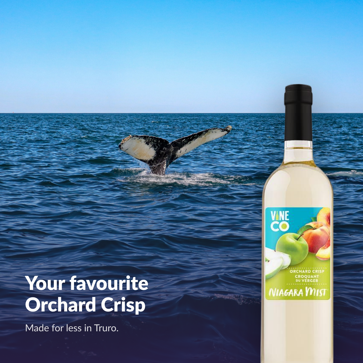 Niagara Mist Orchard Crisp bottle — your favourite Orchard Crisp, made for less in Truro