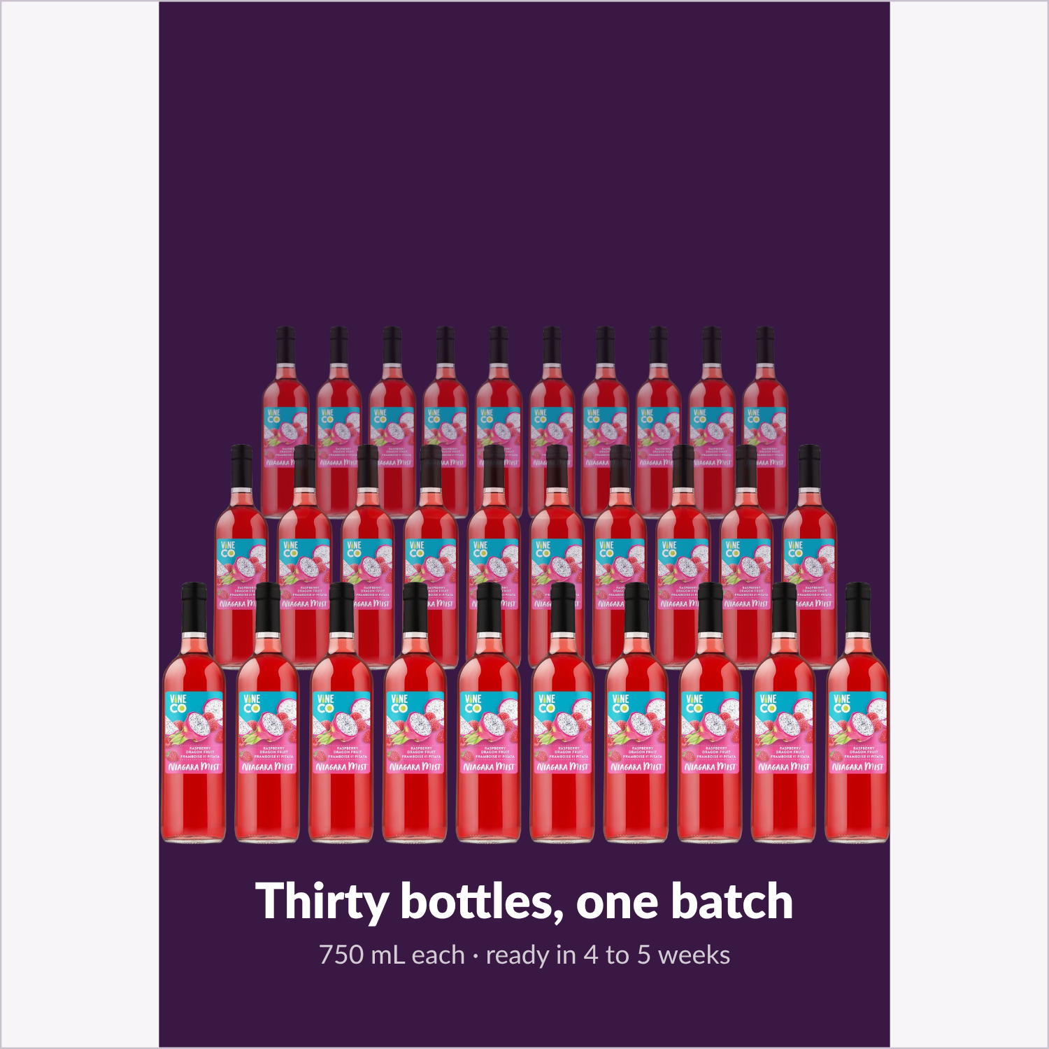 Thirty bottles, one batch — Niagara Mist Raspberry Dragon Fruit