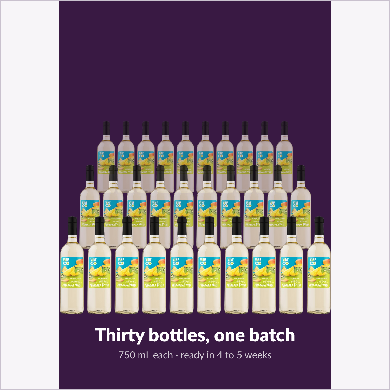 Thirty bottles, one batch — Niagara Mist Tropical Fruit