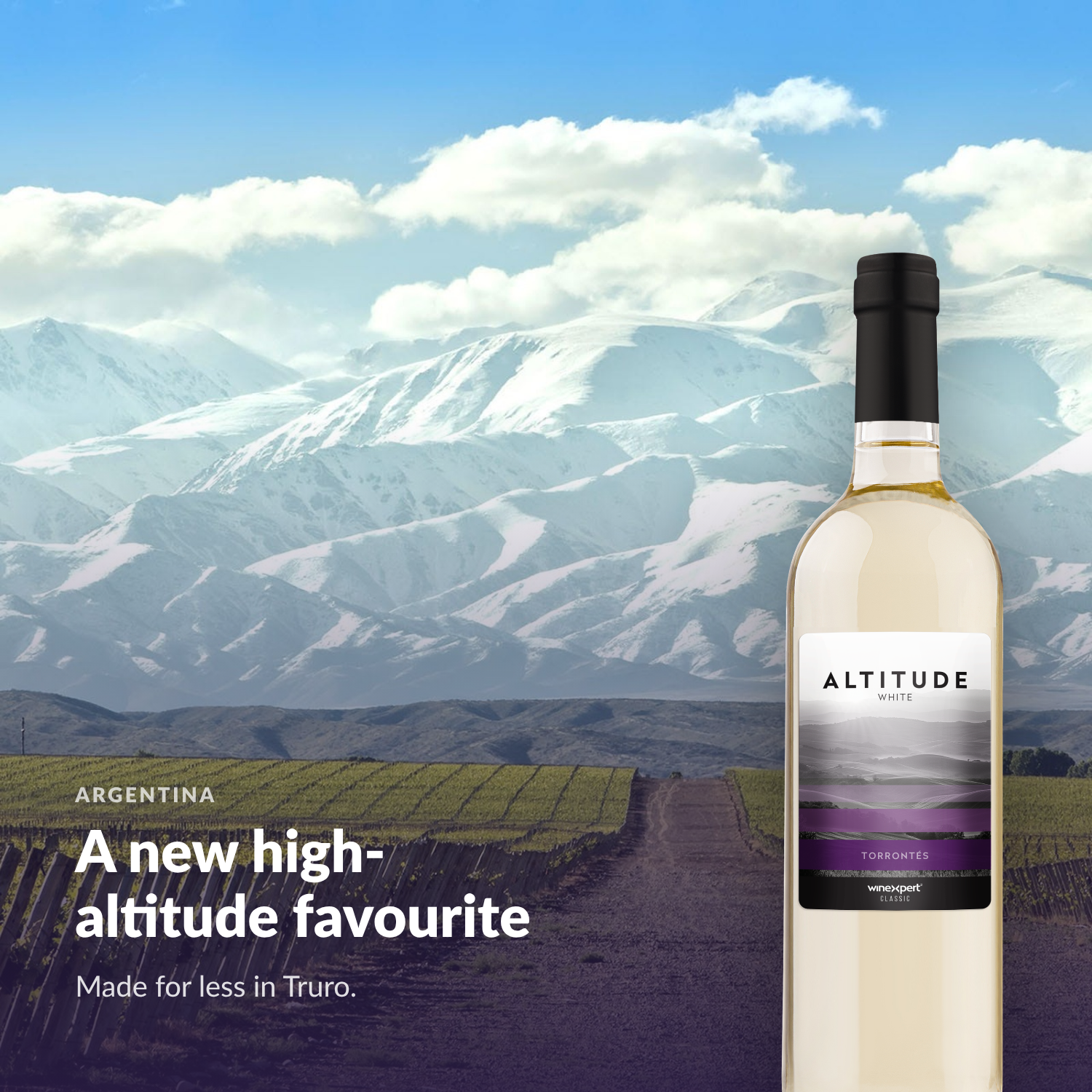 Bottle of Altitude White in front of a Mendoza vineyard and the snow-capped Andes