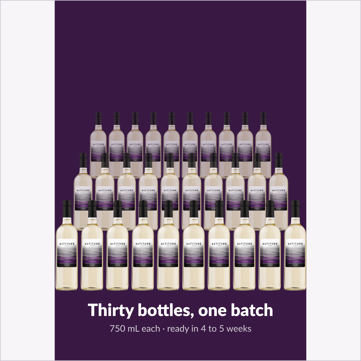 Thirty 750 mL bottles of Altitude White from one batch, ready in 4 to 5 weeks
