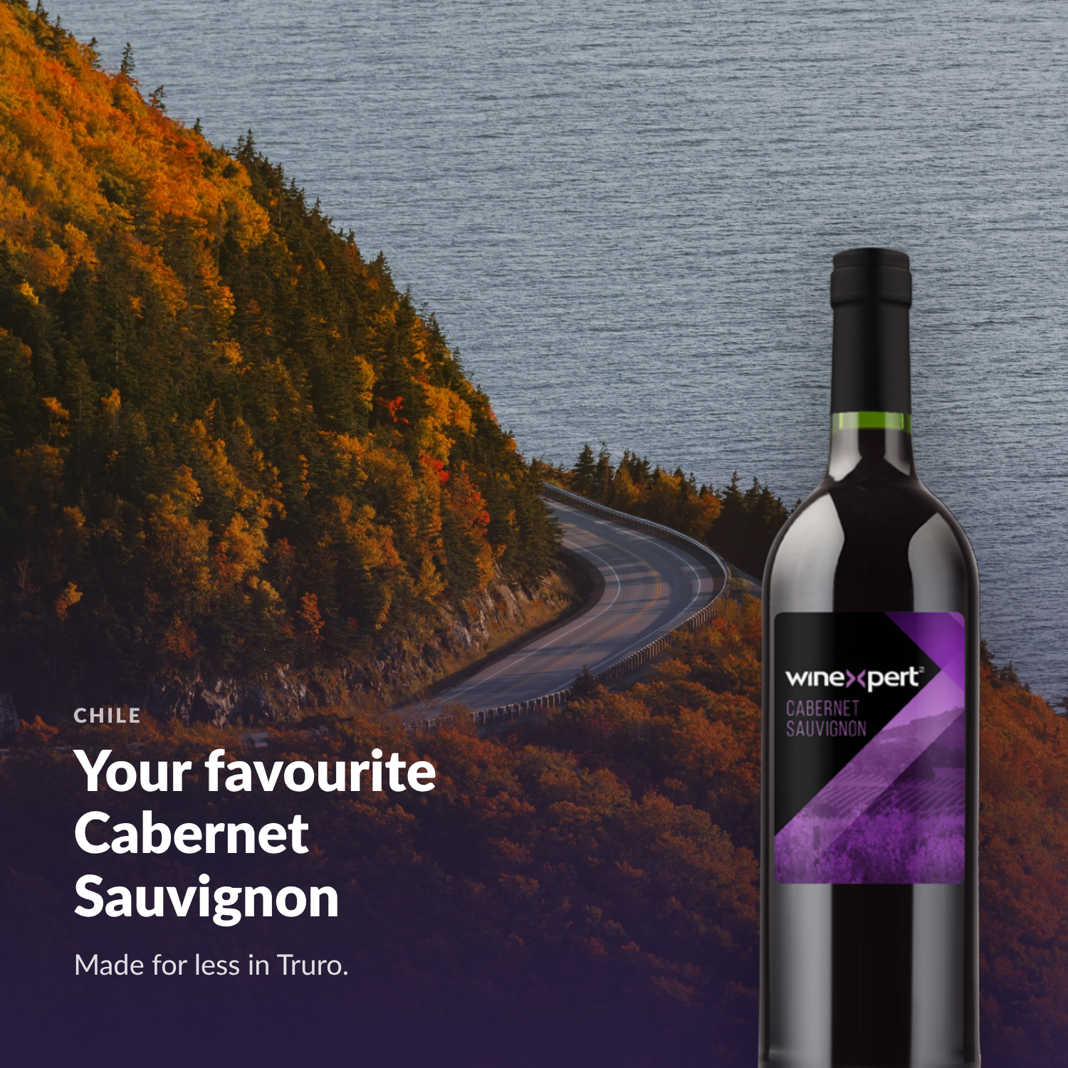 Winexpert Classic Cabernet Sauvignon wine kit — lifestyle photo with bottle, Water'n'Wine Truro