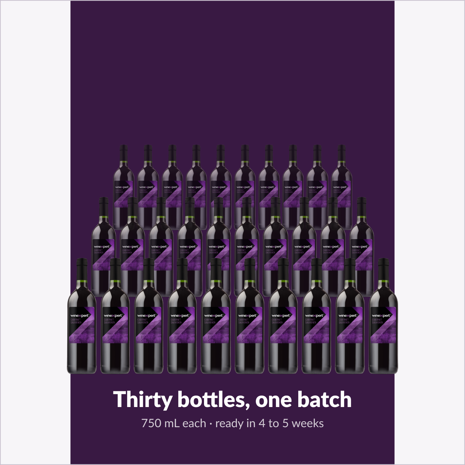 Winexpert Classic Cabernet Sauvignon wine kit — thirty-bottle batch, Water'n'Wine Truro