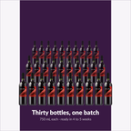 Winexpert Classic Diablo Rojo wine kit — thirty-bottle batch, Water'n'Wine Truro