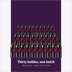 Winexpert Classic Grenache Shiraz Mourvèdre wine kit — thirty-bottle batch, Water'n'Wine Truro