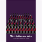 Winexpert Classic Malbec wine kit — thirty-bottle batch, Water'n'Wine Truro