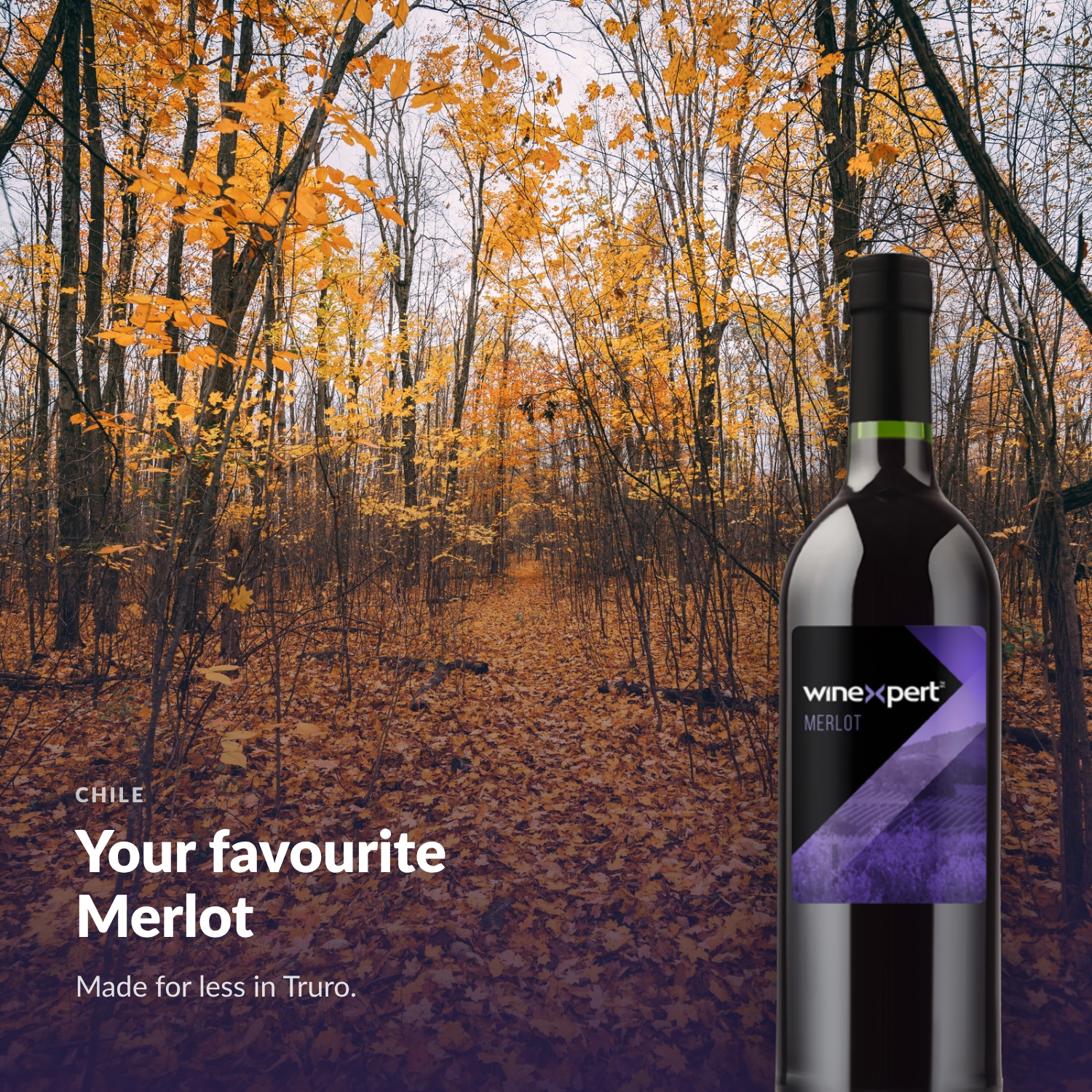 Winexpert Classic Merlot wine kit — lifestyle photo with bottle, Water'n'Wine Truro