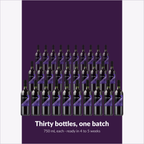 Winexpert Classic Merlot wine kit — thirty-bottle batch, Water'n'Wine Truro