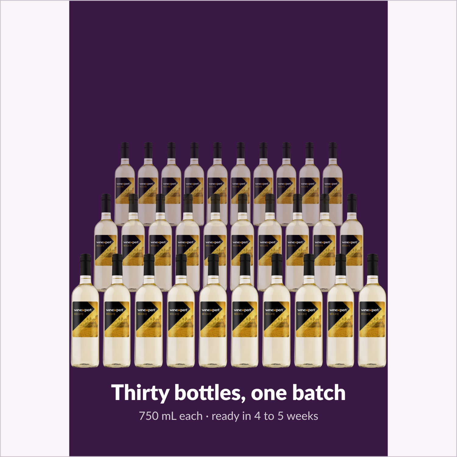 Winexpert Classic Moscato wine kit — thirty-bottle batch, Water'n'Wine Truro