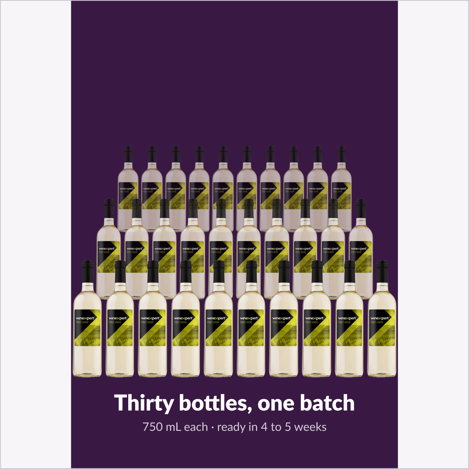 Winexpert Classic Pinot Grigio wine kit — thirty-bottle batch, Water'n'Wine Truro