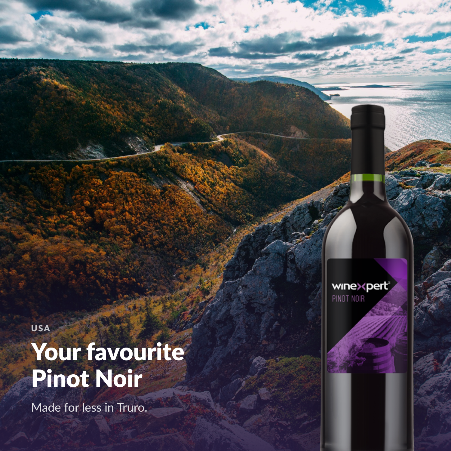 Winexpert Classic Pinot Noir wine kit — lifestyle photo with bottle, Water'n'Wine Truro