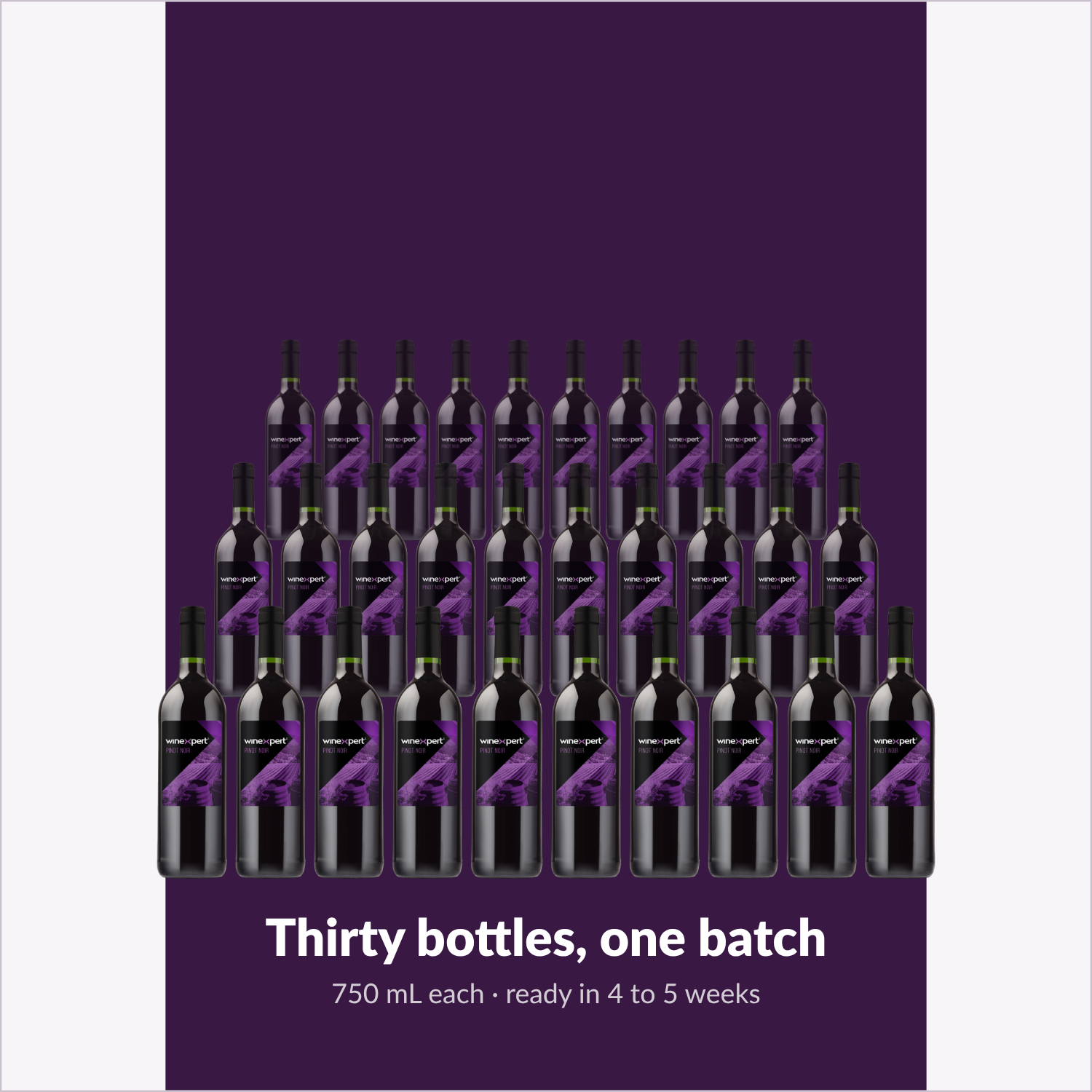 Winexpert Classic Pinot Noir wine kit — thirty-bottle batch, Water'n'Wine Truro