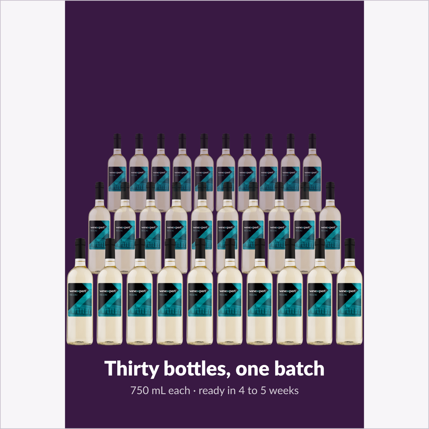 Winexpert Classic Riesling wine kit — thirty-bottle batch, Water'n'Wine Truro