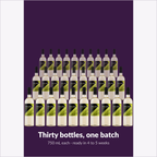 Winexpert Classic Sauvignon Blanc wine kit — thirty-bottle batch, Water'n'Wine Truro