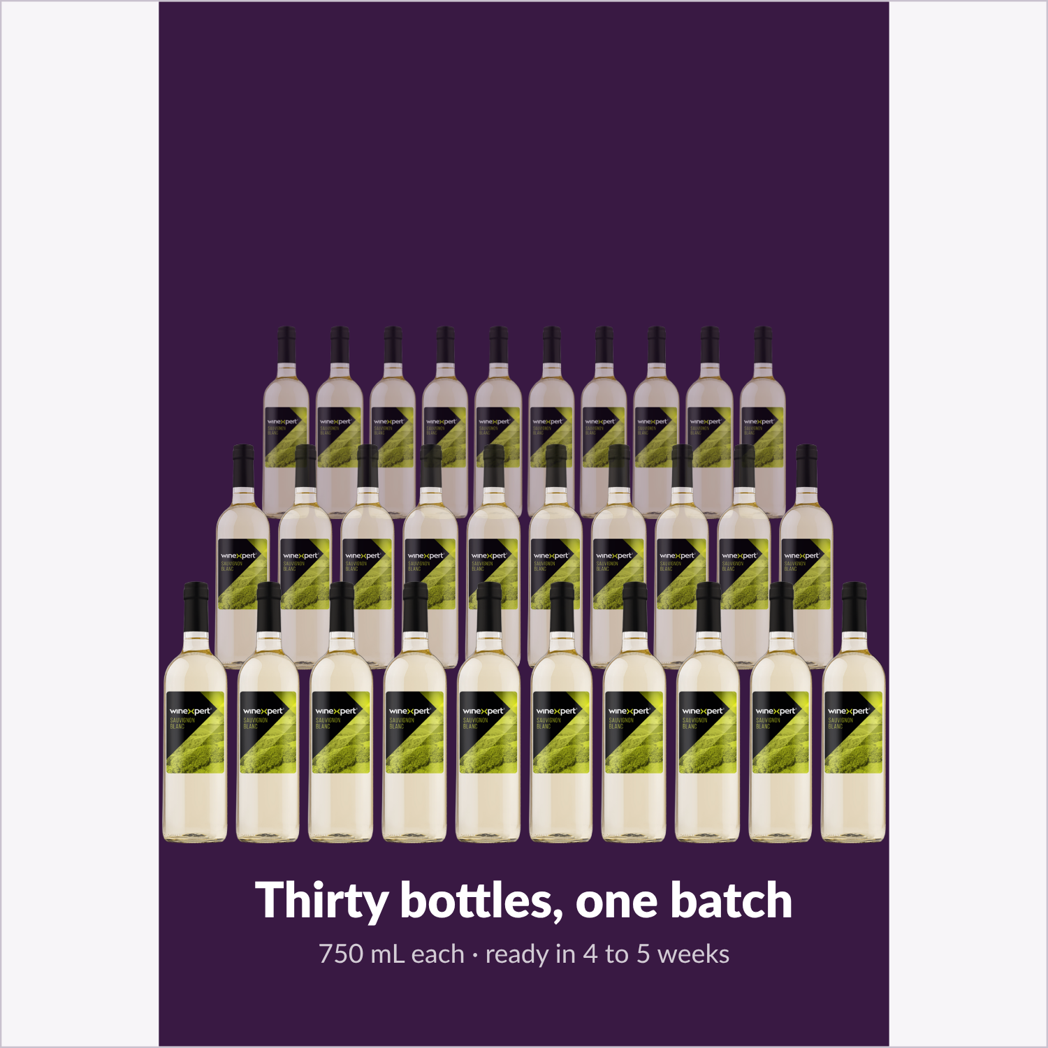 Winexpert Classic Sauvignon Blanc wine kit — thirty-bottle batch, Water'n'Wine Truro